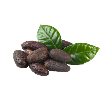 Almacenamiento-de-cacao