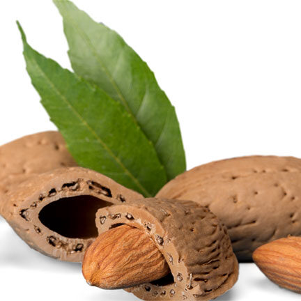 almendras almendras
