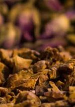 banner-hierbas-infusiones-cannabis